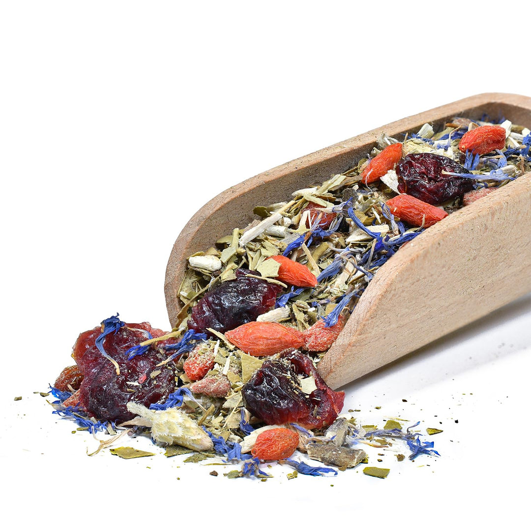 Verde Mate und Guarani Mate Tee Set Forest Berries Mango & Maracuya 1kg - Yerba Mate aus Brasilien u