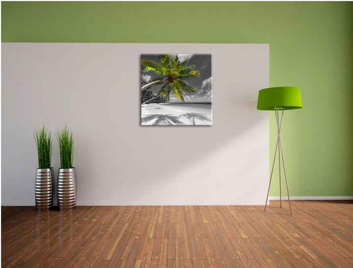Pixxprint riesige Palem über Strand schwarz/weiss, Format: 70x70 auf Leinwand, 70x70