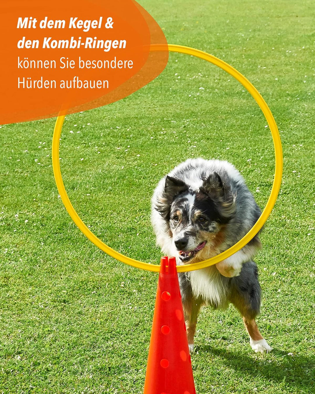 Kombi Kegel 40 – 4er Set – für den Aufbau von Hürden- oder Slalom-Parcours für Agility-Training – Sp