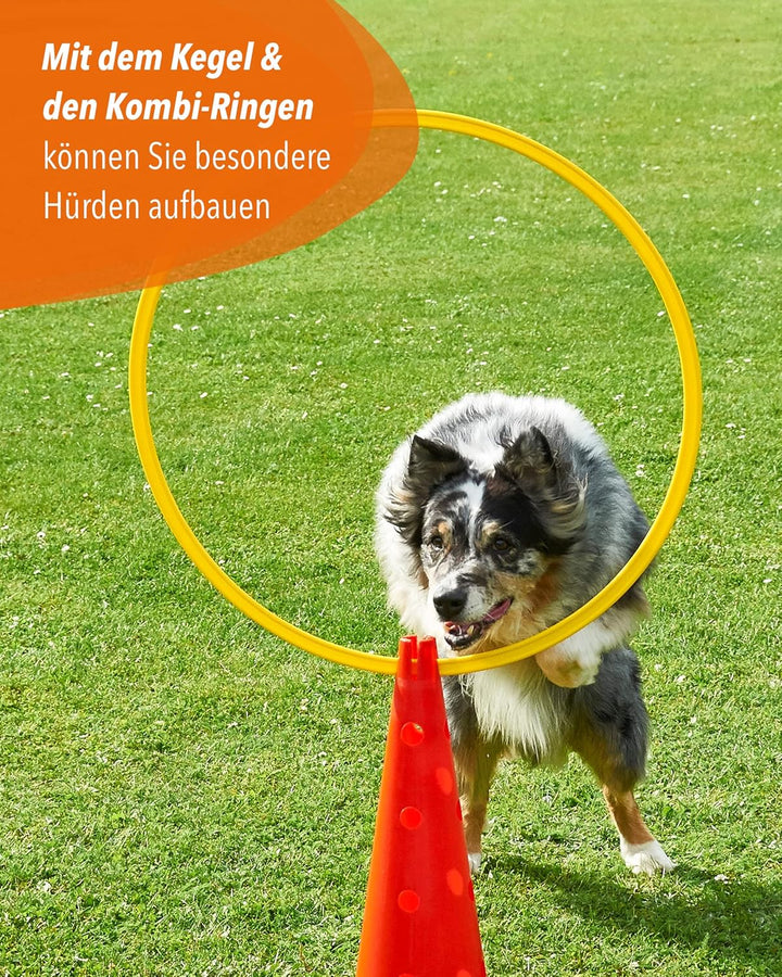 Kombi Kegel 40 – 4er Set – für den Aufbau von Hürden- oder Slalom-Parcours für Agility-Training – Sp