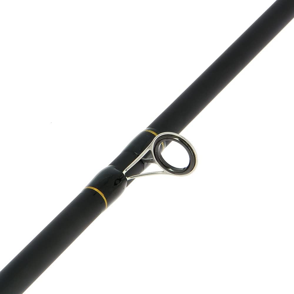 2 x Carp Stalker Rod Master Fiberglas 2,4 m 1,1 kg 2 Stück | 2 x Rolle 2BB 4,5 kg Schnur Graphitspul