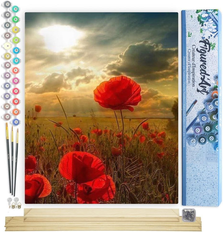 Figured'Art Malen Nach Zahlen Erwachsene Mit Rahmen Blumen unter der Sonne - Paint by Numbers Bastel