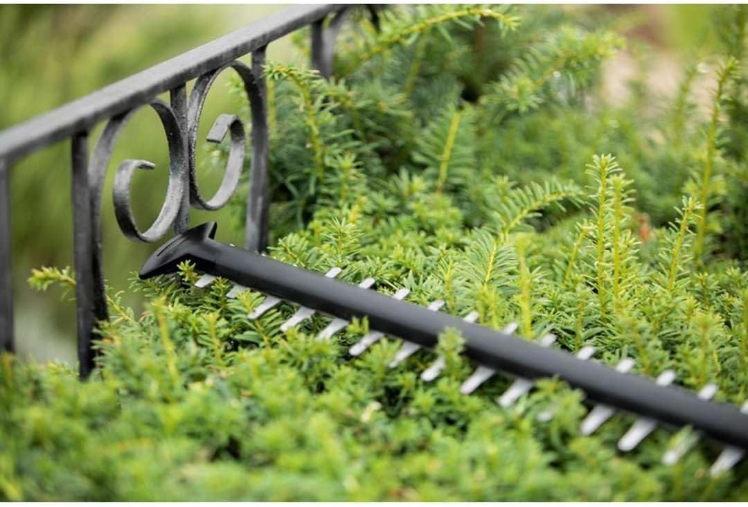 Taille haies sans fil UniversalHedge Cut 18-55 Avec 2 Batteries Bosch