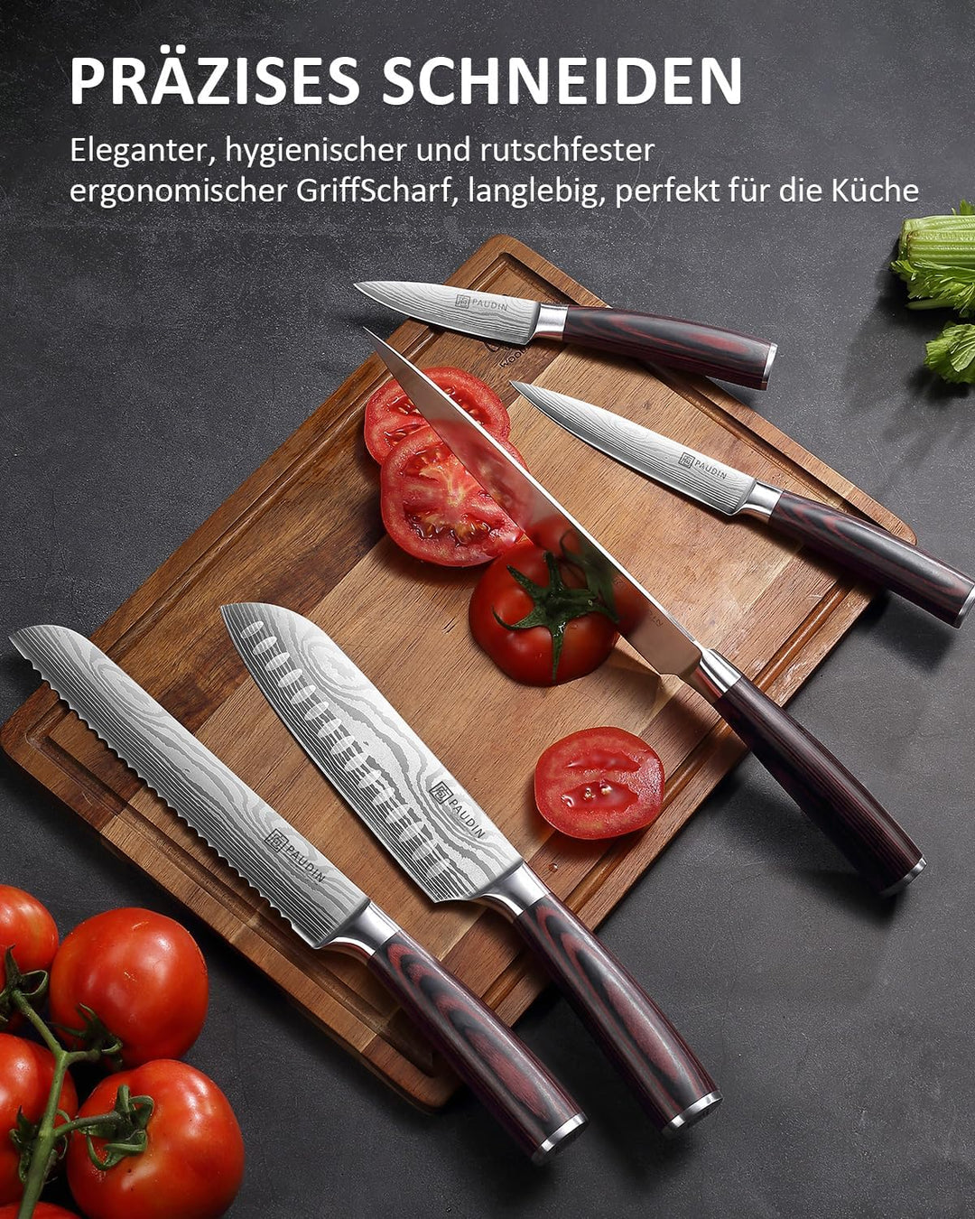 PAUDIN Küchenmesser Set, 5-teilig Küchenmesserset aus hochwertigem Carbon Edelstahl, Ultra Scharfes