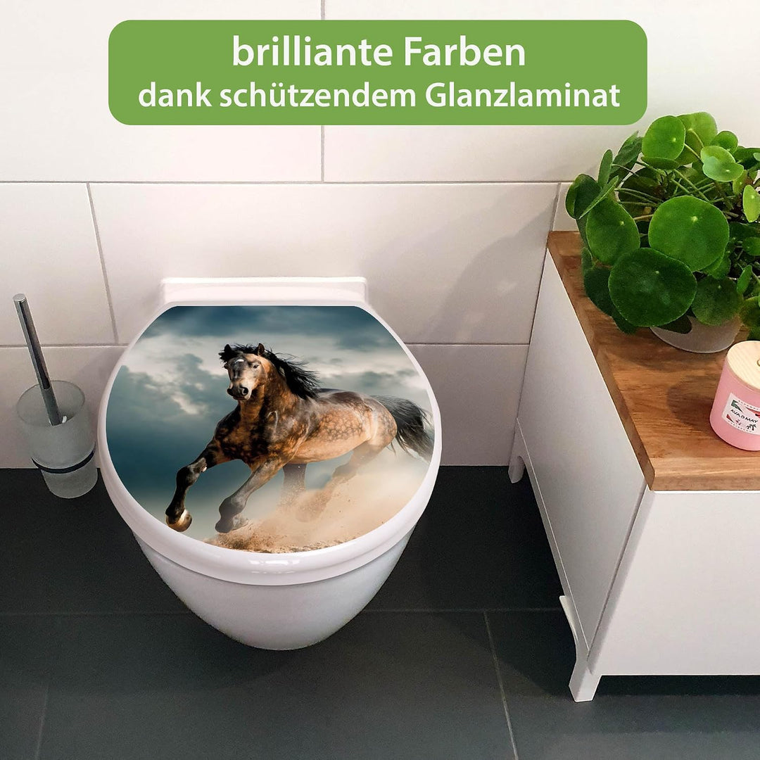banjado Toilettendeckel mit Absenkautomatik 44,5x37cm - Soft Close Toilettensitz - WC Sitz mit Absen