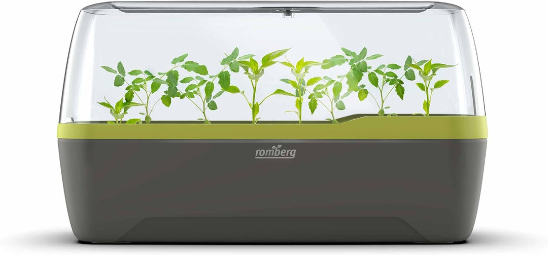 Romberg BoQube L Plus (Pflanzsystem, Farbe Anthrazit-Sommergrün, PAK-frei, lebensmittelecht, mit Bel