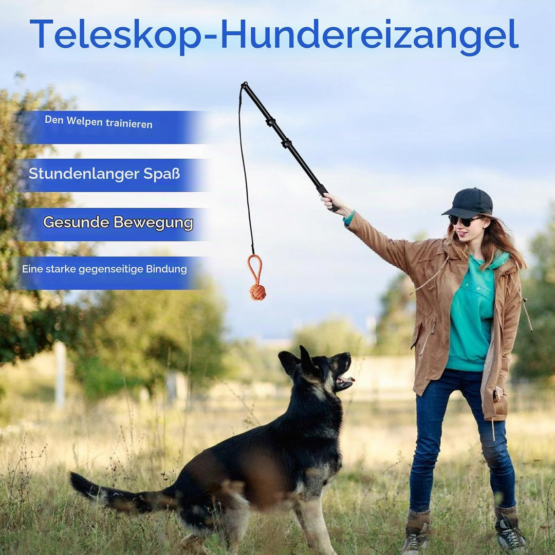GBKDQQ Reizangel Hunde, Profi Reizangel für Kleine Hunde Grosse Hund Längenverstellbare mit Ersatzse