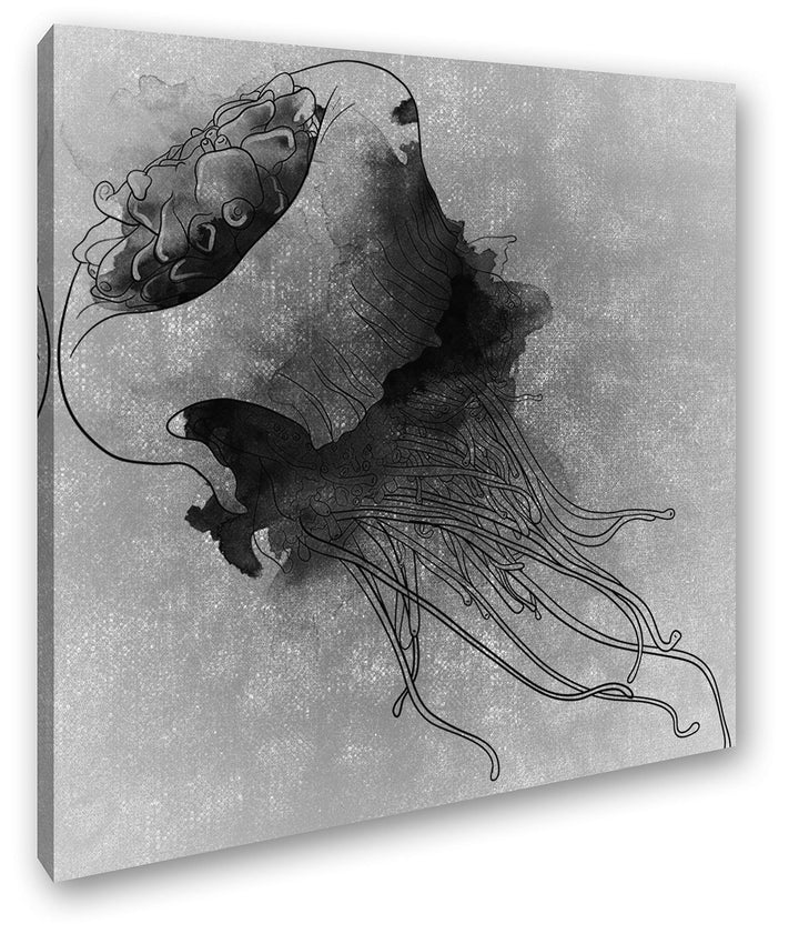 deyoli Zeichnung Einer Qualle Format: 60x60 Effekt: Schwarz&Weiss als Leinwandbild, Motiv auf Echtho