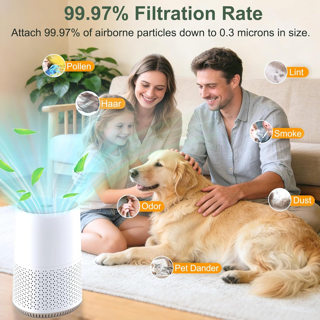 FY0611 Ersatzfilter für Philips 600 Serie Luftreiniger AC0650/10 AC0651/10 H13 True HEPA Filter FY06