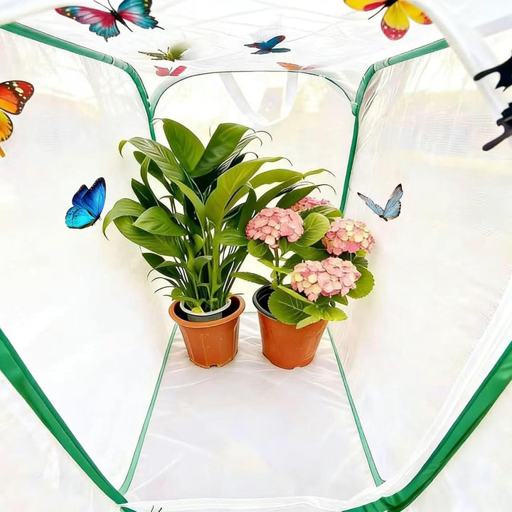 Insekt Und Schmetterling Habitat Käfig, Zusammenklappbares Schmetterlingshaus, Mesh Terrarium Pop-Up