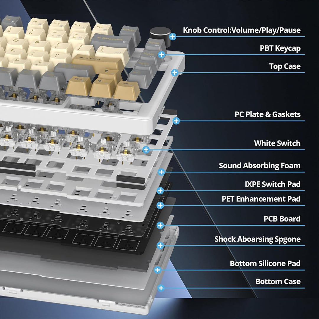 SOLIDEE Verkabelte Mechanische Gaming Tastatur 75 Prozent, Hot-Swap-Fähig Mit Gasket Struktur, RGB H