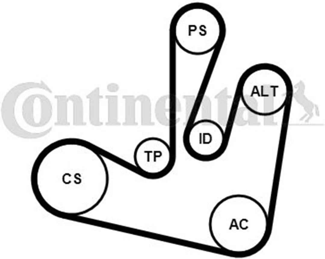 CONTITECH 6PK1750K2 Keilrippenriemensatz