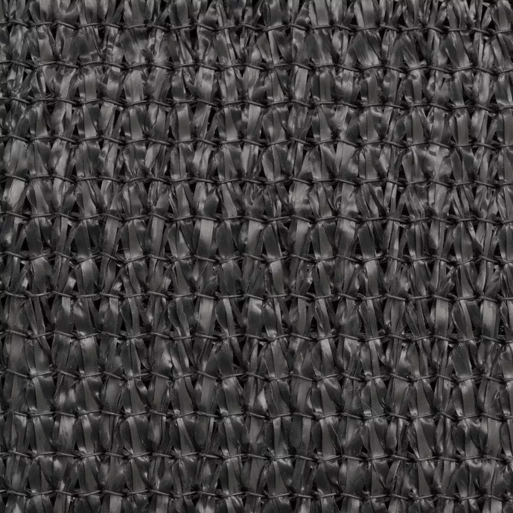 vidaXL Sonnensegel HDPE Quadratisch 2x2m Anthrazit Sonnendach Beschattung 2 x 2 m 2 X 2 M, 2 x 2 m 2