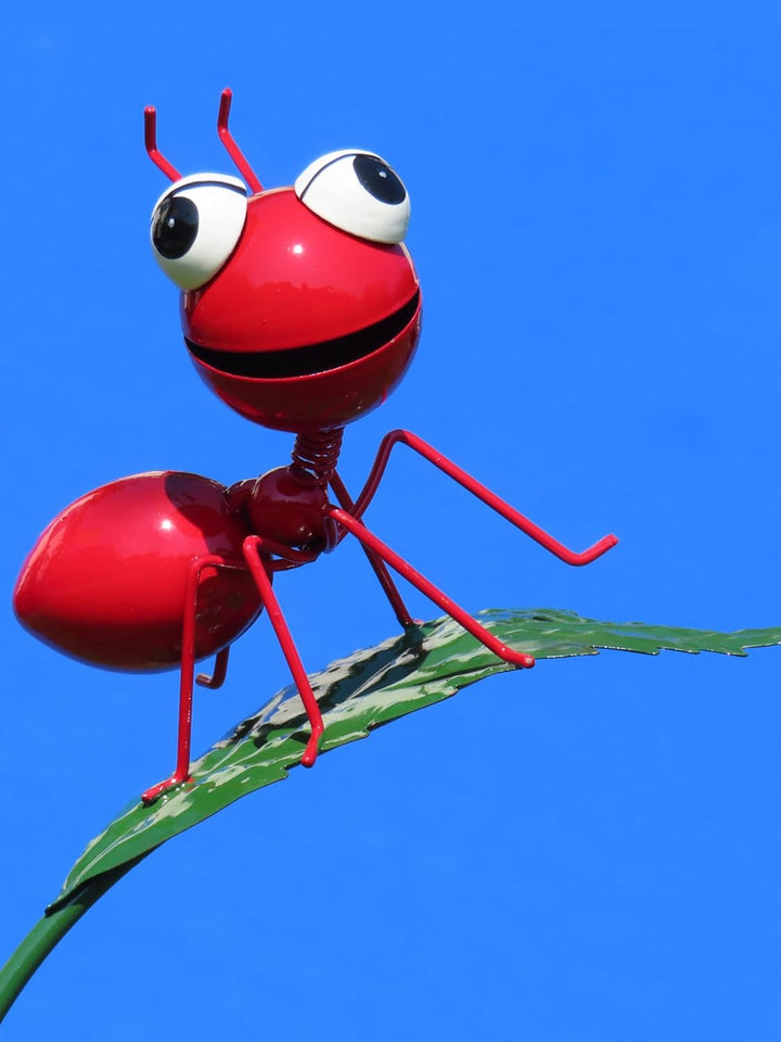 Pommerntraum ® | Regenmesser Niederschlagsmesser Pluviometer Gartendekoration Gartenstecker Gartenfi