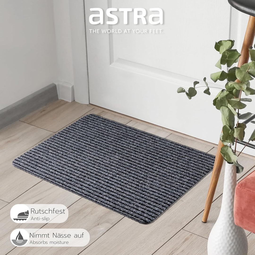 Astra Fussmatte innen grau Schmutzfangmatte rutschfest – Türmatte 40x60 cm wasserabweisend – Rib Lin