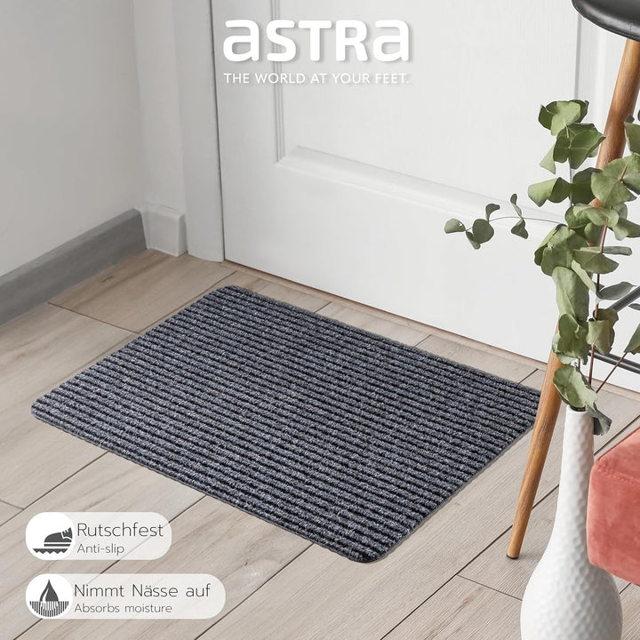 Astra Fussmatte innen grau Schmutzfangmatte rutschfest – Türmatte 40x60 cm wasserabweisend – Rib Lin