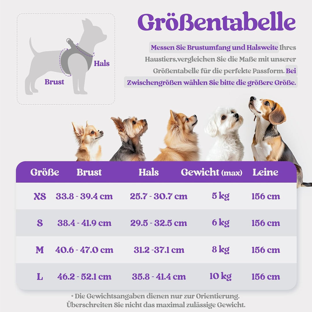 rabbitgoo Hundegeschirr Kleine Hunde mit Leine, Step-in Welpengeschirr Weich Mesh für Spaziergänge,