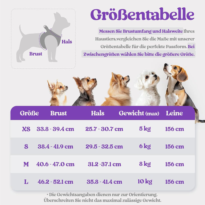 rabbitgoo Hundegeschirr Kleine Hunde mit Leine, Step-in Welpengeschirr Weich Mesh für Spaziergänge,
