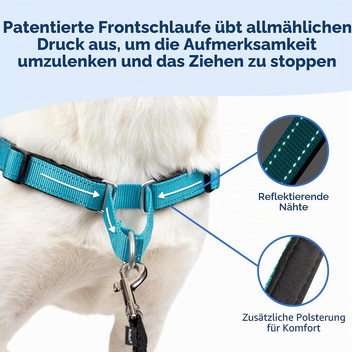 PetSafe Deluxe Easy Walk Hundegeschirr Stahlgrau / Schwarz Medium/Large, Stahlgrau / Schwarz Medium/