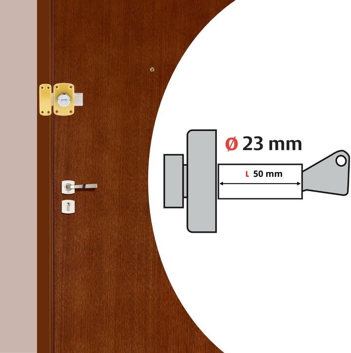 Rindleder 67600 vrx-45/SC Zyklop Riegel, beige, 67600-50/SC Zylindrischer Knopf 50 mm Bronze, Zylind