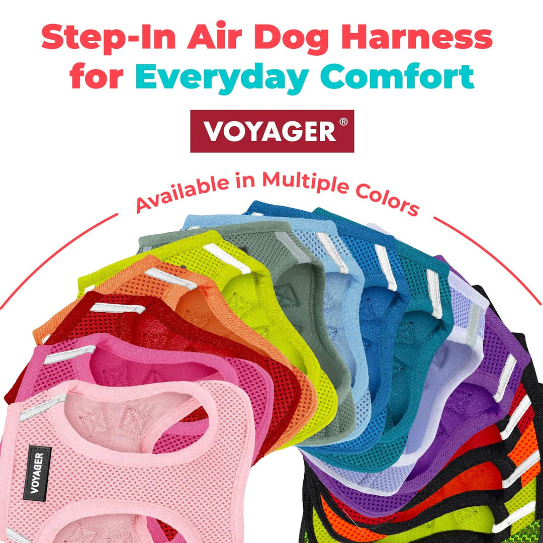 Best Pet Supplies Voyager Step-In Air Hundegeschirr – Allwetter-Netzgewebe für kleine und mittelgros
