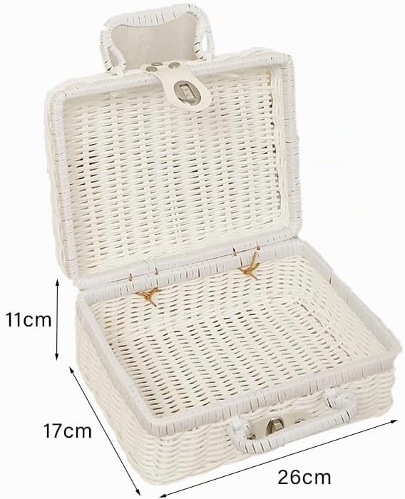 Weidengeflecht Picknickkorb, 26×17×11cm Retro Gewebte Picknickbox | Kunststoff Rattan Koffer Picknic