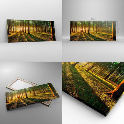 Wandbilder Dekoration Wohnzimmer Wald grün Sonnenstrahlen Natur Panorama Bilder auf Leinwand 120x50c