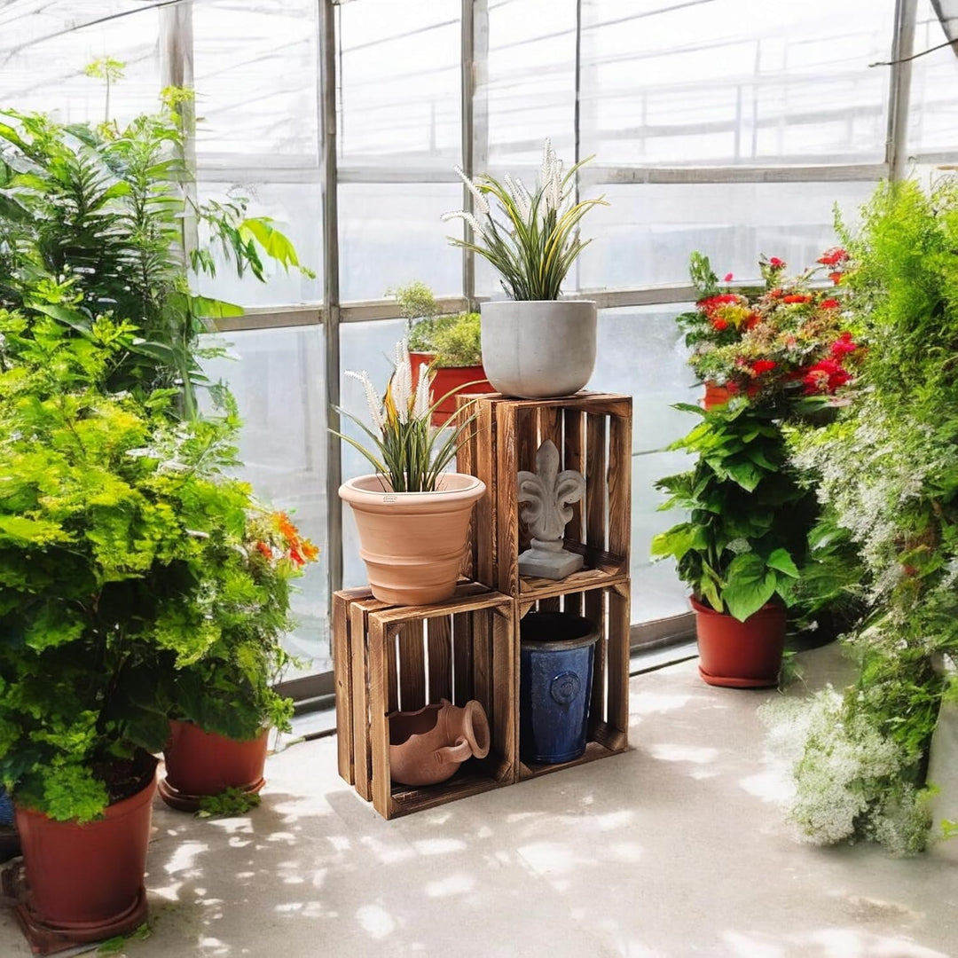 Geflammte Holzkisten Weinkisten Obstkisten mit Mittelbrett/Zwischenbrett Ablage für Aufbwahrung Schu