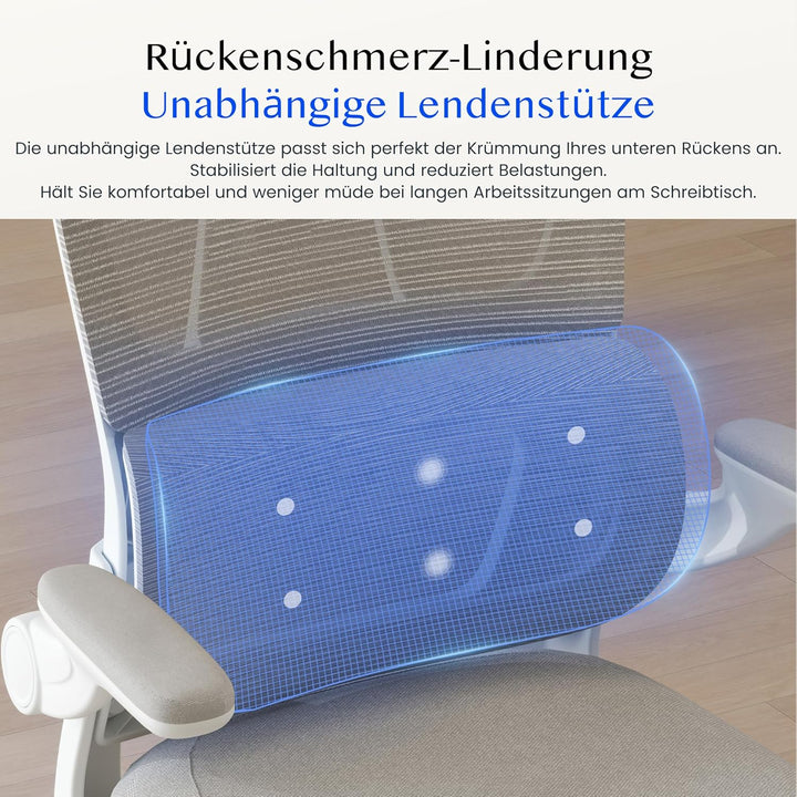 FLEXISPOT Ergonomischer Bürostuhl, Schreibtischstuhl mit 2D-Kopfstütze, Klappbare Armlehnen & Dynami