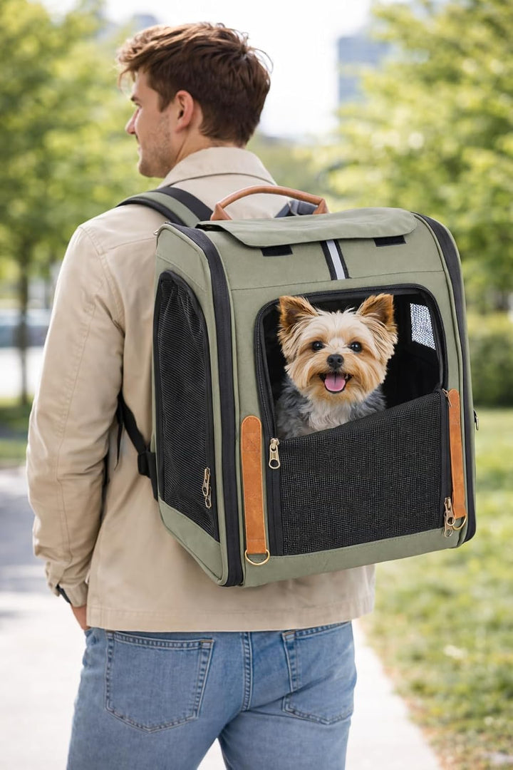 Hunderucksack - Rucksack Yoda Grün – 34x26x40cm – Polyester – Öffnungen vorn/Oben/seitlich – Rahmen