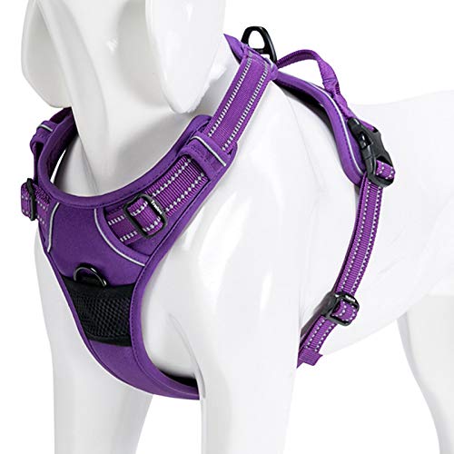 WINHYEPET Truelove Hundegeschirr No-Pull Reflektierendes verstellbar Haustiergeschirr mit 2 Leinencl
