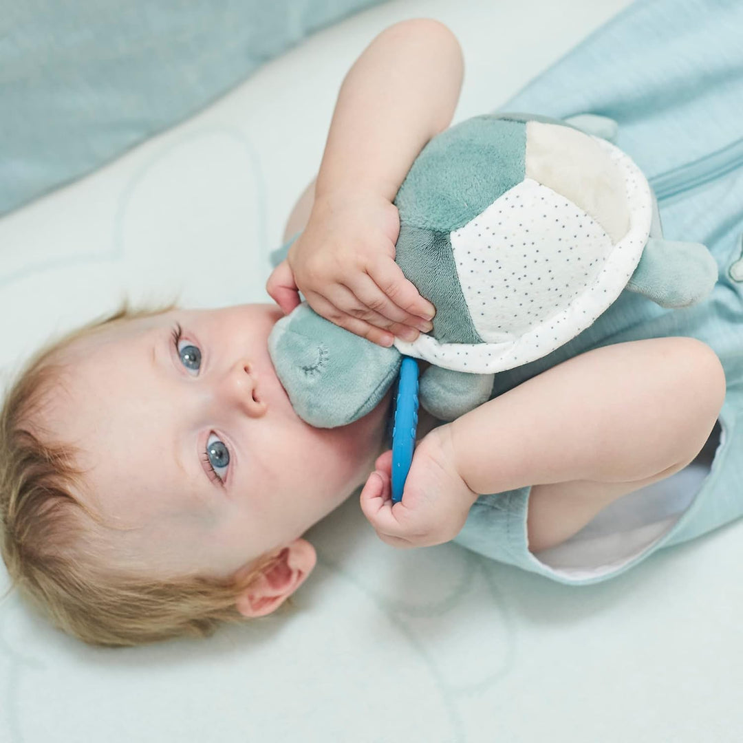 Nattou 875097 Aktivitätenschildkröte, Grün grün Schildkröte, grün Schildkröte