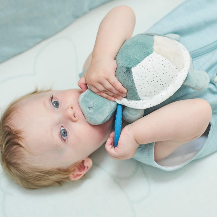 Nattou 875097 Aktivitätenschildkröte, Grün grün Schildkröte, grün Schildkröte