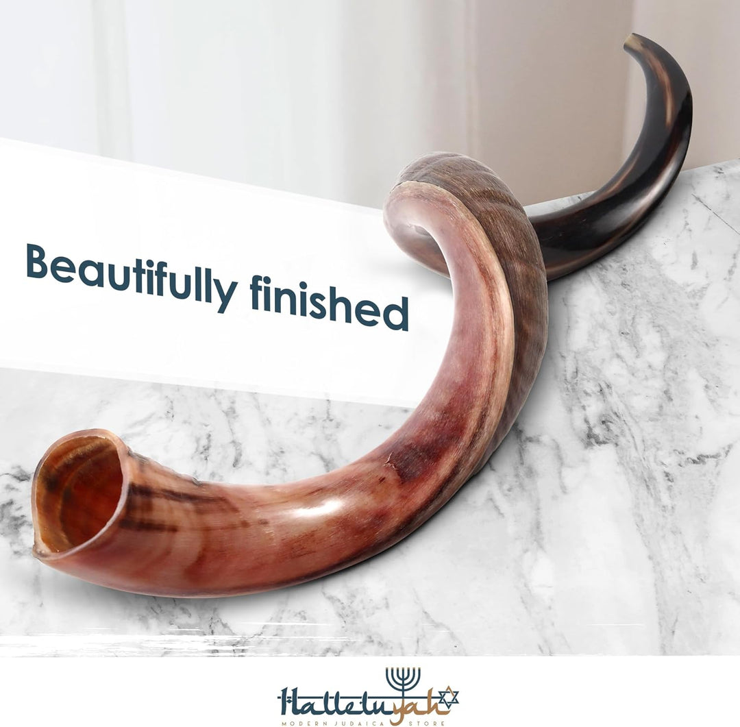 HalleluYAH Original koscher, halbpolierter Kudu Shofar aus Israel 35"-39", 35"-39"