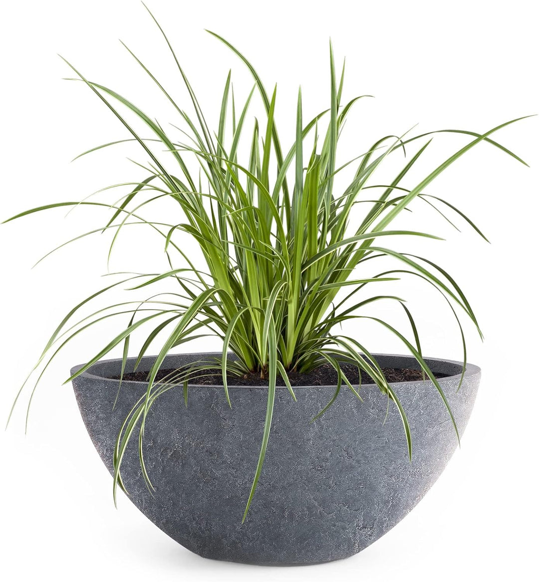 Pflanzwerk® Pflanzkübel Pflanzschale Bowl Ø 36cm Lava Anthrazit *Frostbeständige Blumenschale* *Prem