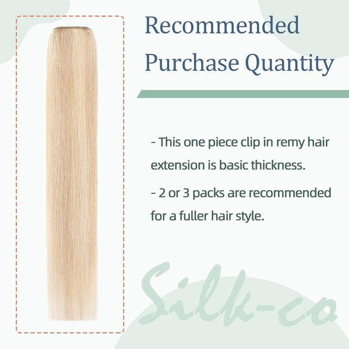 Silk-co Clip in Extenions Echthaar Haarteile Echthaar 1Pc 5Clips Haarteil 18P613# Graublond & Bleich