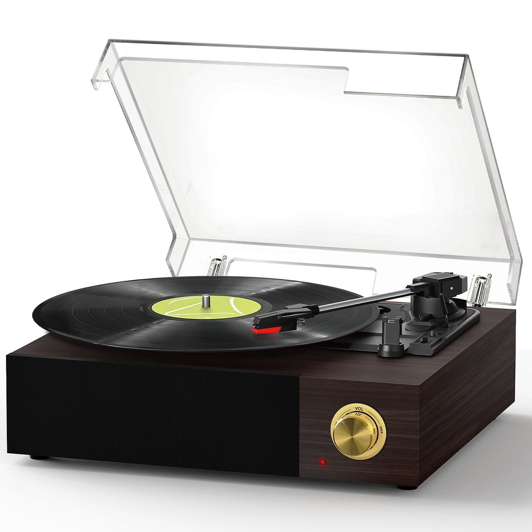 FYDEE Vintage Vinyl Plattenspieler mit integrierten Lautsprechern, Bluetooth 5.4 Vinyl-Player, 3 Ges