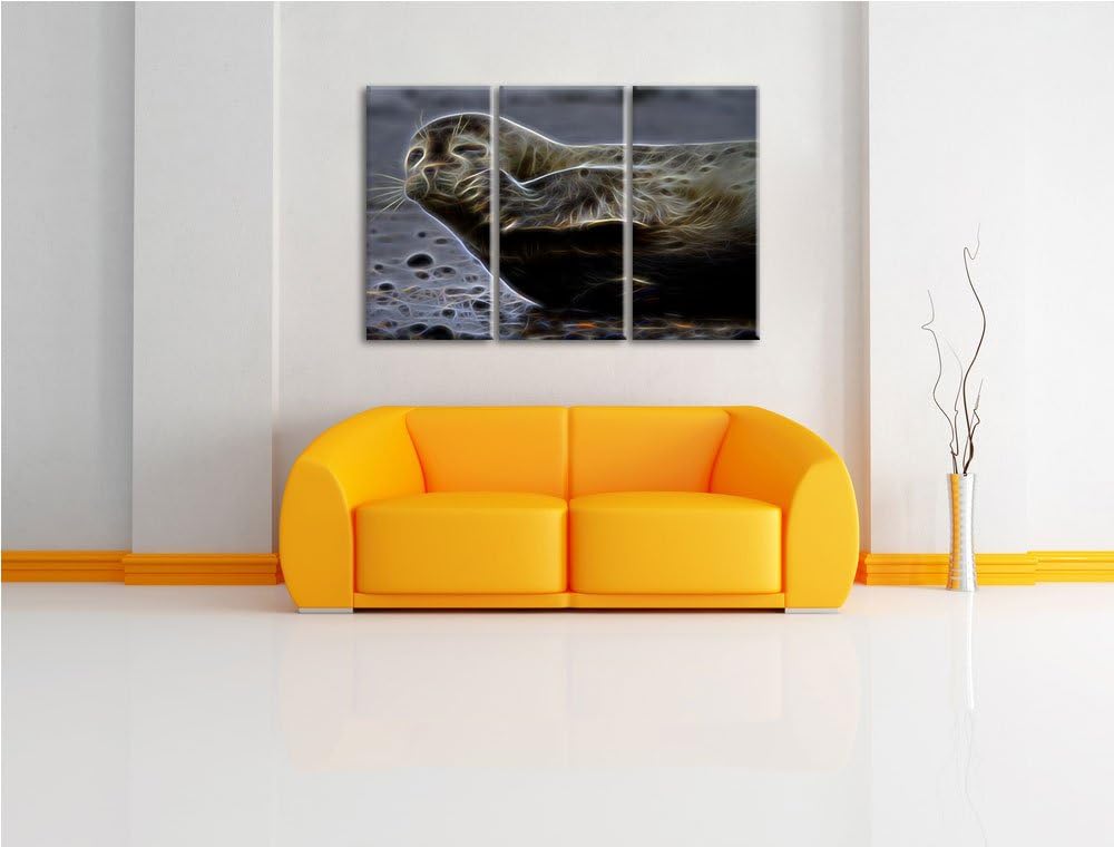 süsse Robbe beim Putzen NewArt 3-Teiler Leinwandbild 120x80 Bild auf Leinwand, XXL riesige Bilder fe