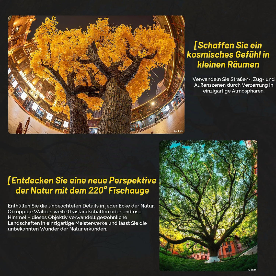 7artisans 6mm F2.0 für E-Mount APS-C-Fischaugen-Ultraweitwinkel-Kameraobjektiv,manueller Fokus,220°-