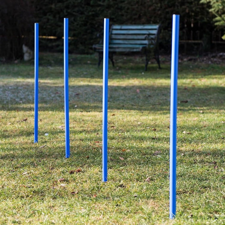 Hunde Agility‑Set 12Slalom‑Stangen, wetterfestes Slalom‑Set für Hundesport und Fussball, Agility‑Tra