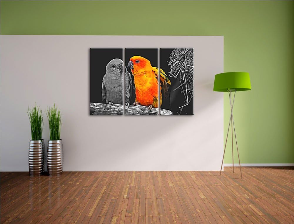 Dark zwei hübsche Sonnensittiche schwarz/weiss Spezial 3-Teiler Leinwandbild 120x80 Bild auf Leinwan