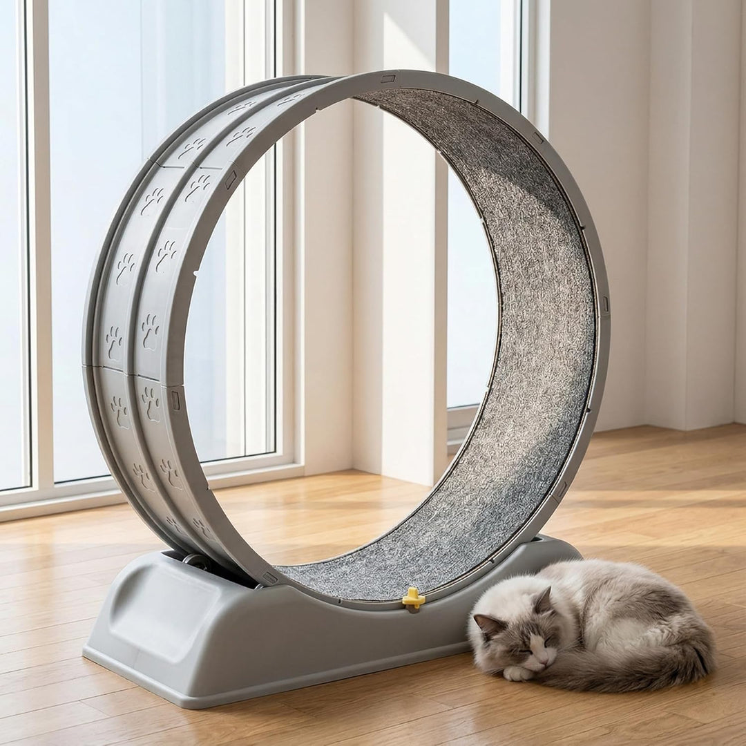 Katzenlaufrad, 80 cm grosses Laufband für Katzen, mit Sicherheitsbremse und weichem Innenstoff für H
