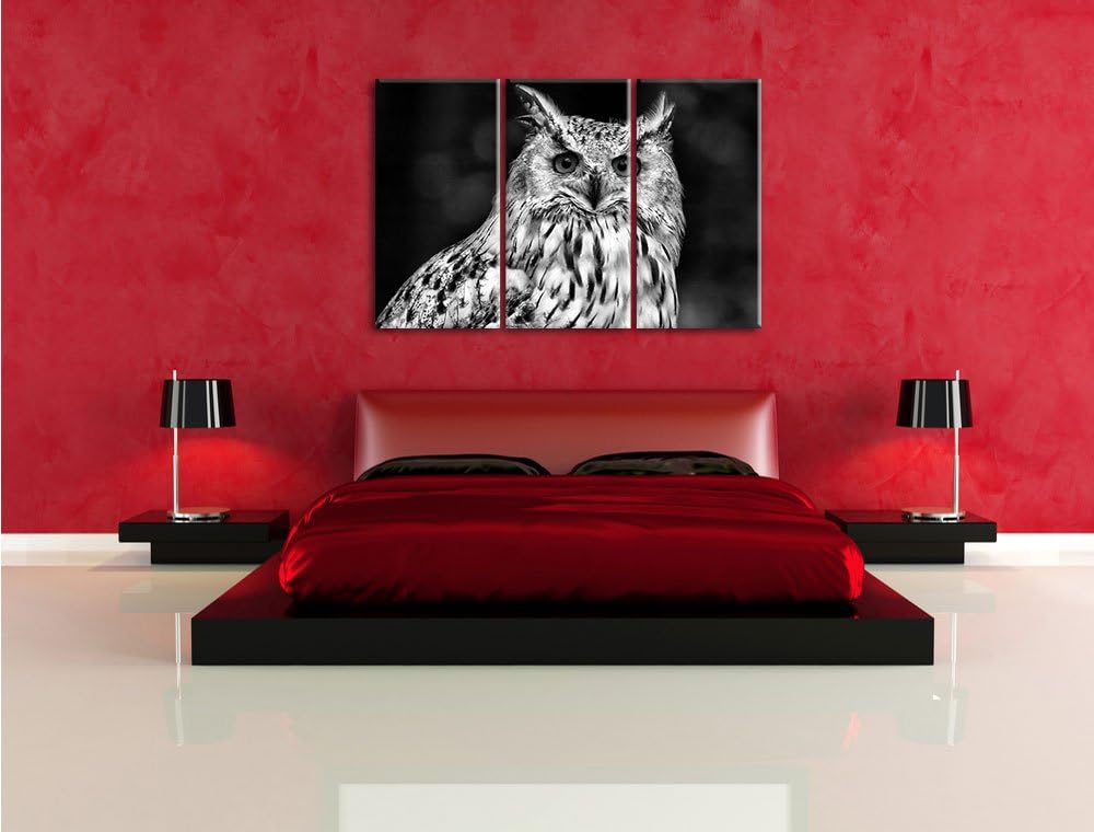 Pixxprint Monocrome, aufmerksame Waldohreule 3-Teiler Leinwandbild 120x80 Bild auf Leinwand