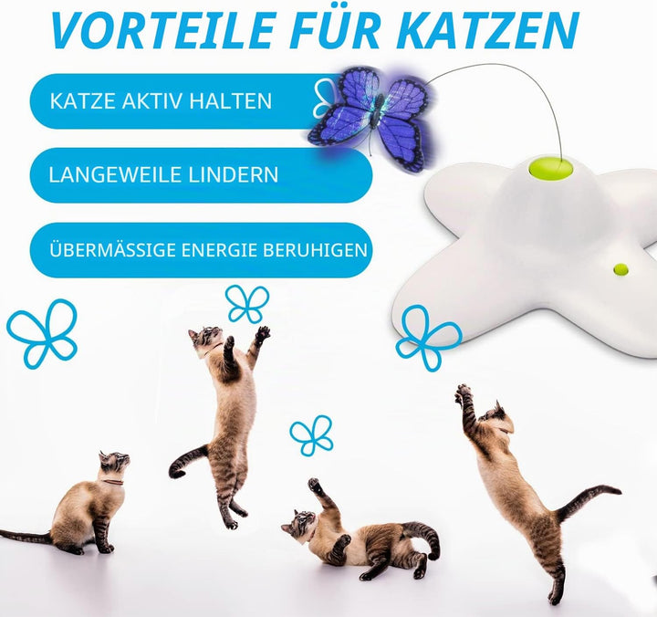 ALL FOR PAWS Katzenspielzeug Interaktive Schmetterling Katze Automatisches Spielzeug Stimulierende K