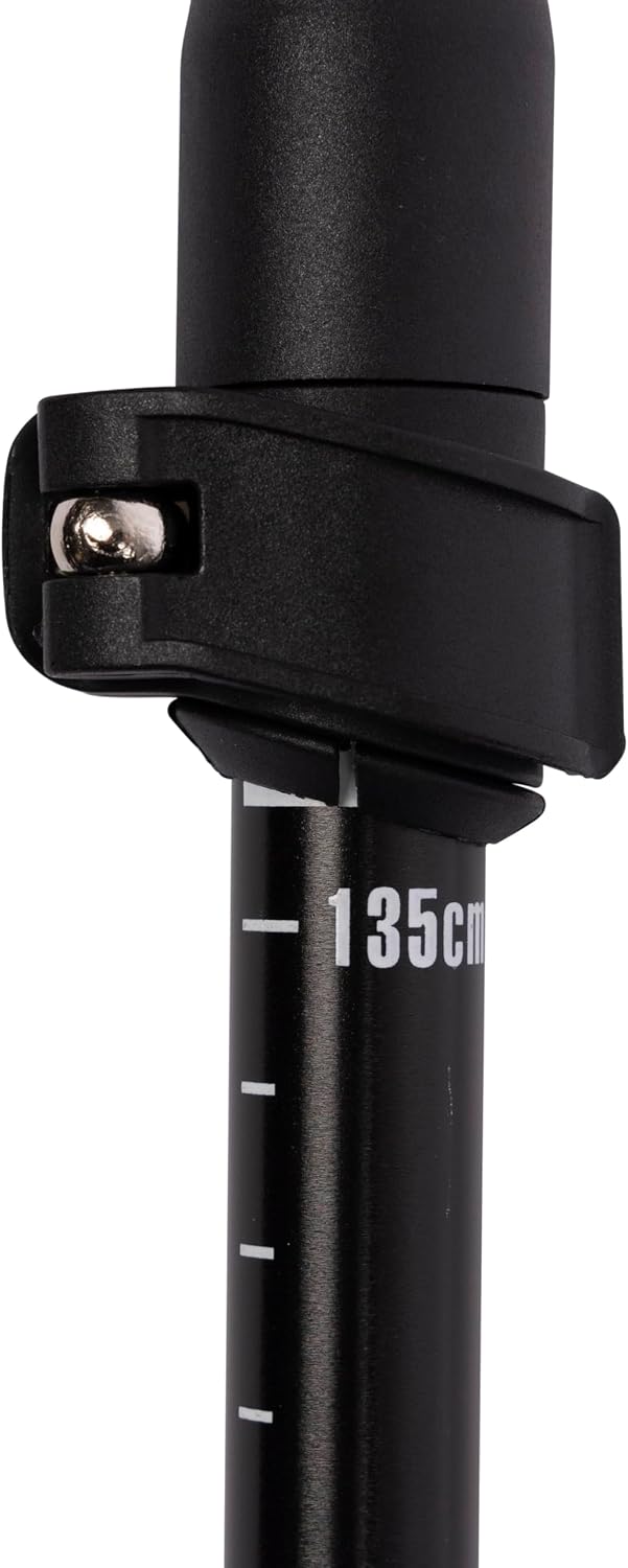 Trespass Wanderstock Qiklock mit 3 Abschnitten, Silver, One Size, UUACMIM30017_SILEACH