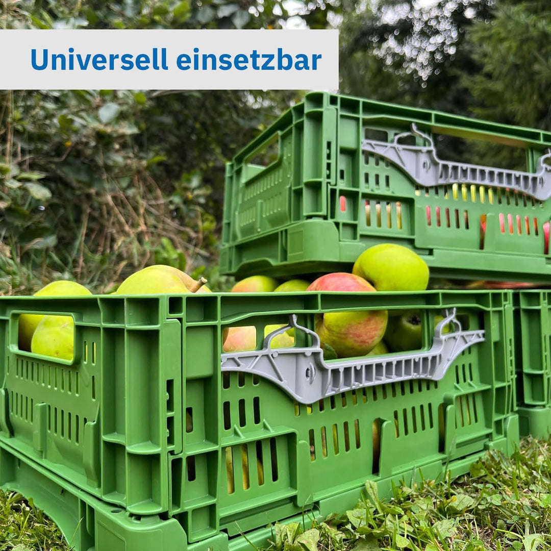 DIE BOX FABRIK Gemüse/Obstkiste klappbar 600x400x180 mm | Klappbox durchbrochen | Stapelbox für Obst