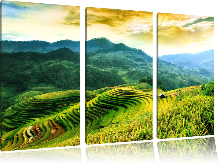 Pixxprint Reisfelder in Vietnam als Leinwandbild | Grösse: 3 Teilig (120x80) | Wandbild| Kunstdruck
