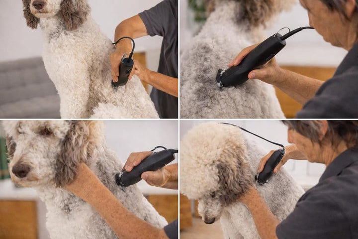 Rotschopf24 Max 50+ Profi Hundeschermaschine. Leise Tierhaarschneidemaschine mit Power-Motor & Profi