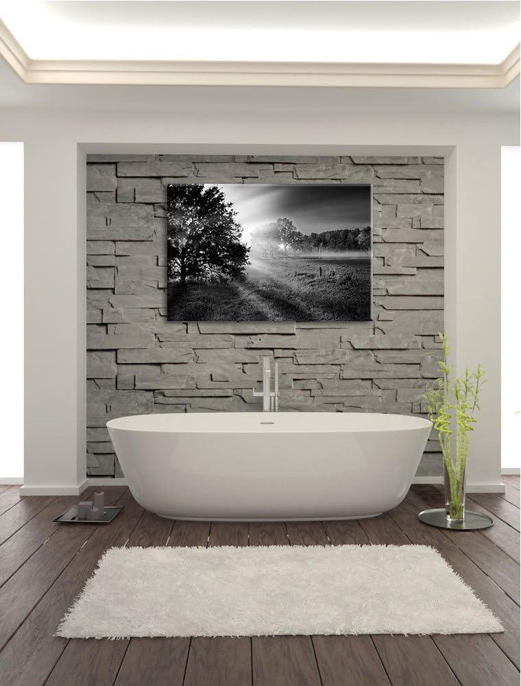 schöne Lichtung im Wald schwarz/weiss Format: 100x70 auf Leinwand, XXL riesige Bilder fertig gerahmt