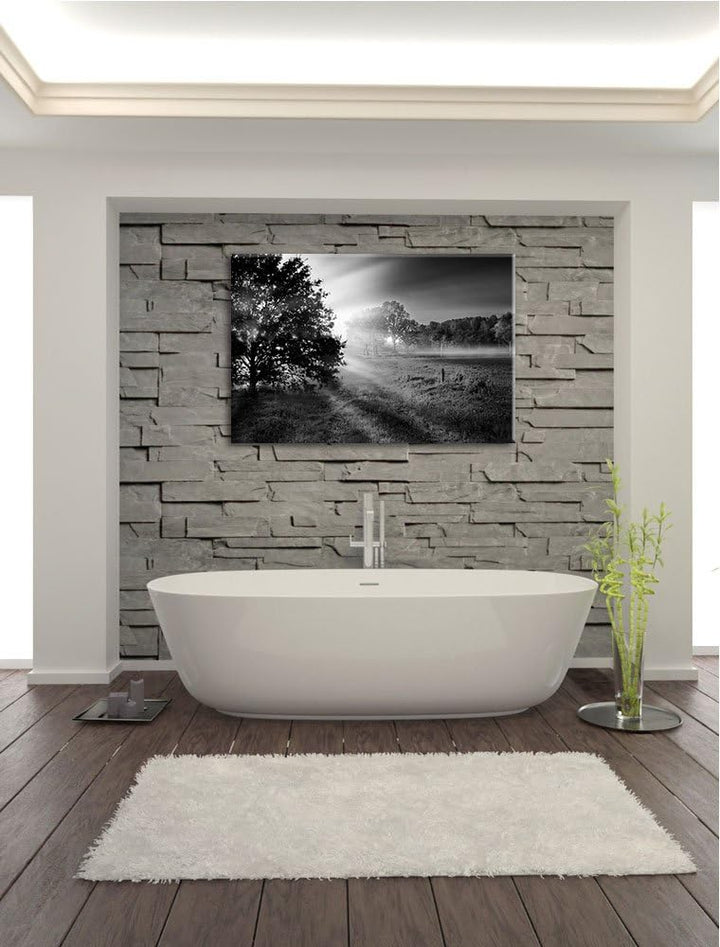 schöne Lichtung im Wald schwarz/weiss Format: 100x70 auf Leinwand, XXL riesige Bilder fertig gerahmt